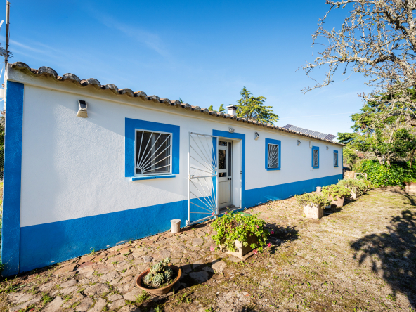 quinta-alfambras-exterior